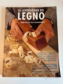 Libro, “lavorazione del legno”