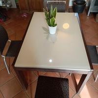 tavolo sedie calligaris