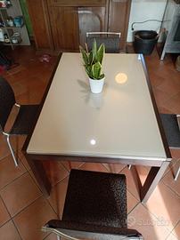 tavolo sedie calligaris