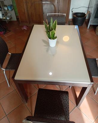 tavolo sedie calligaris