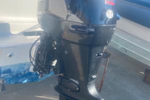 fuoribordo suzuki 115