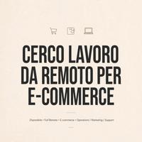 Lavoro REMOTO FISSO MENSILE 