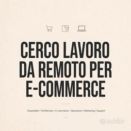 Lavoro REMOTO FISSO MENSILE 