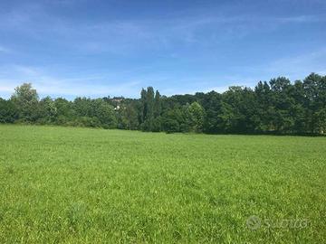 a Lonato Terreno Agricolo Irriguo e Pianeggiante