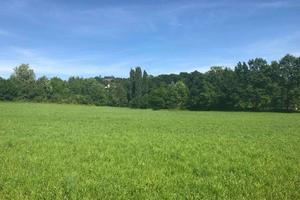 a Lonato Terreno Agricolo Irriguo e Pianeggiante