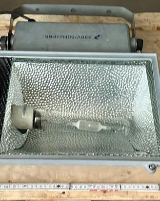 Proiettore 220 V.