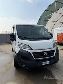 Fiat ducato tetto basso passo corto