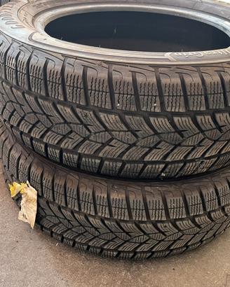 215 65 17 invernai Goodyear del 2021