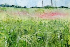Lotti terreno agricolo pianeggiante