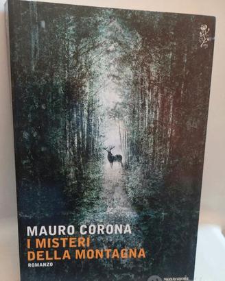 I Misteri della Montagna- 1 ^ edizione MC