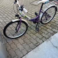 Bicicletta