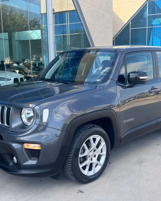 Jeep Renegade 1.6 Mjt 130 CV Limited - possibilità