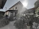 villa-a-carrara