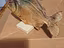 Immagine 1