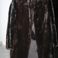 Pelliccia di Castoro