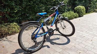 MTB Torpado 24 Scorpion