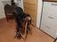 Immagine 2