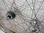 Immagine 2
