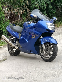 Vendita Honda CBR1100 SUPER BLACK BIRD