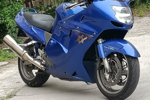 Vendita Honda CBR1100 SUPER BLACK BIRD