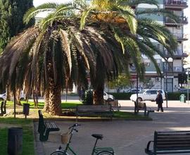 STANZE SINGOLE A DONNE AL CENTRO di COMMENDA