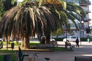 STANZE SINGOLE A DONNE AL CENTRO di COMMENDA