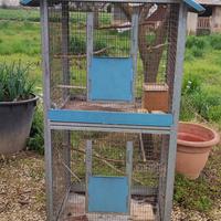 gabbia per uccellini 