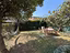 Immagine 19
