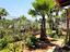 Immagine 11