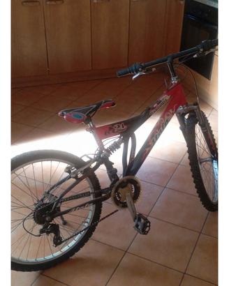 bicicletta 24 pollici 