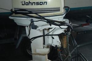 Johnson 25cv 2t gambo lungo 