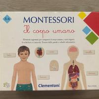 Gioco in scatole Montessori IL CORPO UNANO