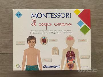 Gioco in scatole Montessori IL CORPO UNANO