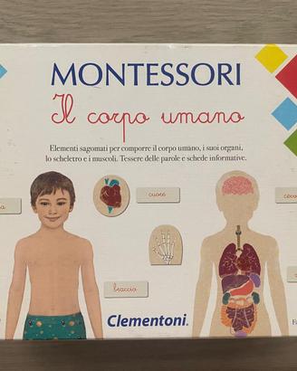 Gioco in scatole Montessori IL CORPO UNANO
