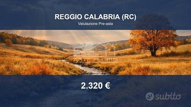Immobile in asta di 150 m² a Reggiolo