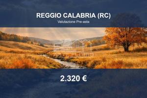 Immobile in asta di 150 m² a Reggiolo