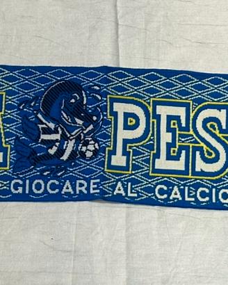 Curva Nord Marco Mazza, Ultras Pescara - La Soga | Revista Cultural