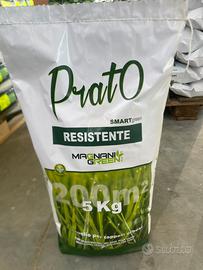 loietto  prato Resistente 5 kg