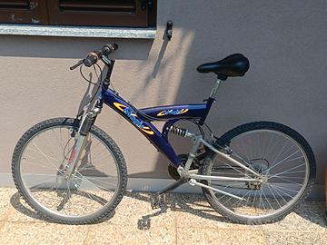 Bicicletta ragazzo