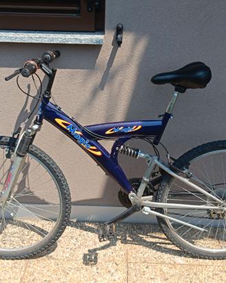 Bicicletta ragazzo