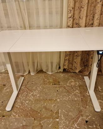 Scrivania Elettrica Regolabile in altezza 100x60