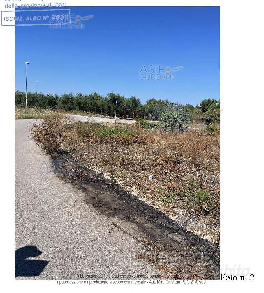 Terreno Agricolo Triggiano [A4294264] - Vista 4