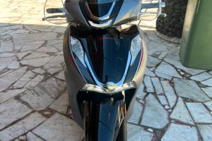 Sh 350 Sport 2024