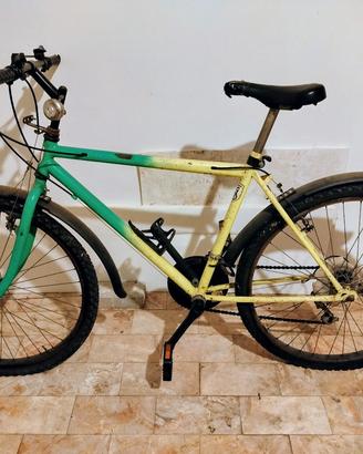 Bicicletta - Mountain bike