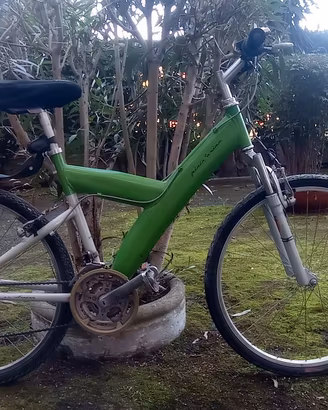 bicicletta vintage Pininfarina