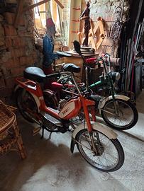 Motorini