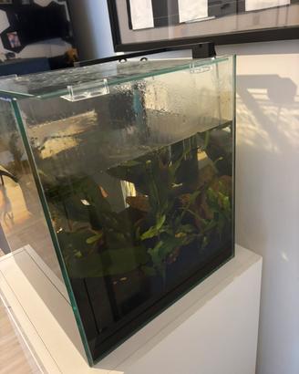 Acquario 62 litri