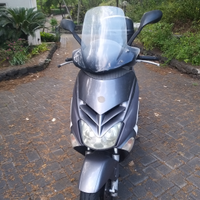 Leonardo 250 sp