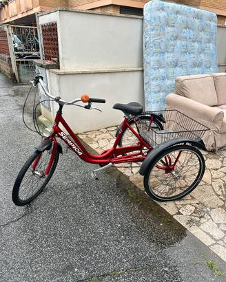 Triciclo Sempion 24"