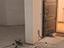 Immagine 25